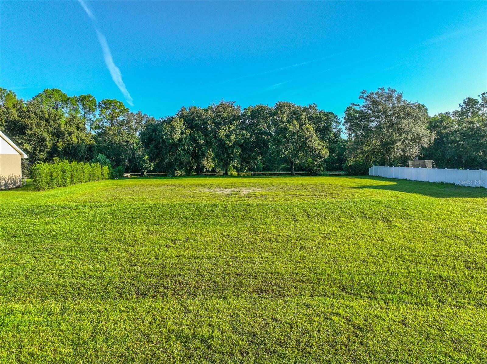 Property Photo:  0 Phillips Road 2  FL 33556 