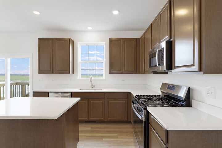 Property Photo:  163 Henderson Street  IL 60543 