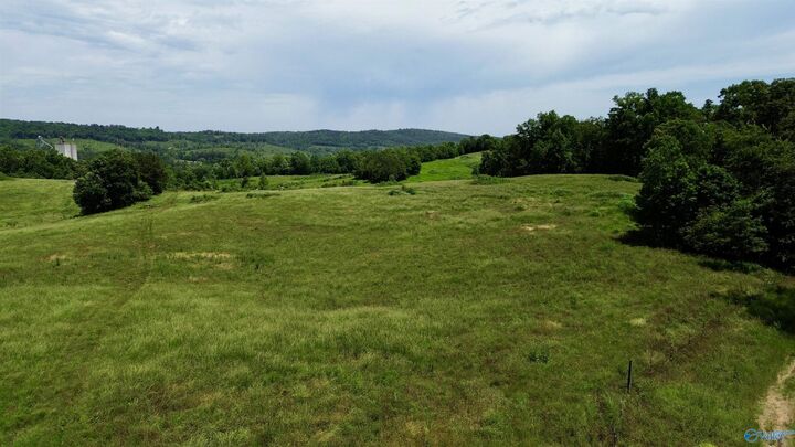 Property Photo:  185 Acres Carnes Chapel Road  AL 35954 