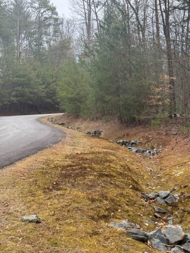 Property Photo:  16R Leatherwood Mountain Road  GA 30522 