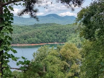 Property Photo:  119 Overlook Drive  NC 28906 