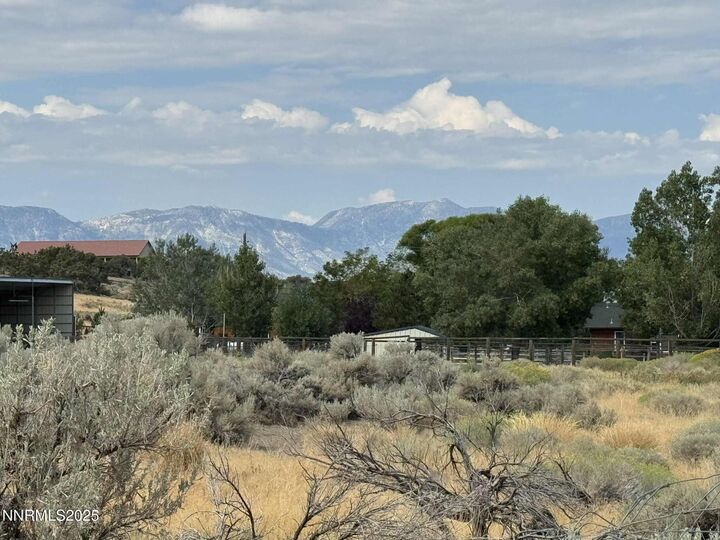Property Photo:  Tbd Old Ranch Road  NV 89410 