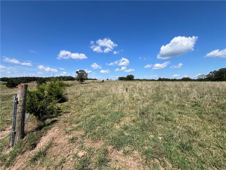 1017 County Road 403  Berryville AR 72616 photo