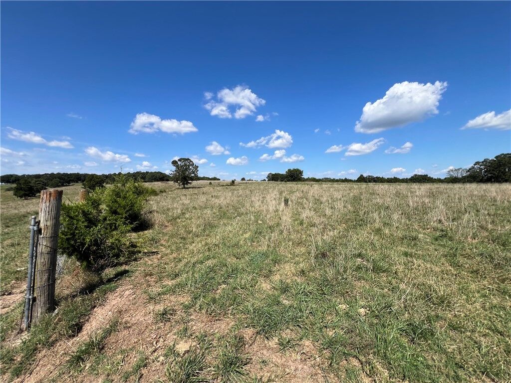 Property Photo: 1017 County Road 403 AR 72616