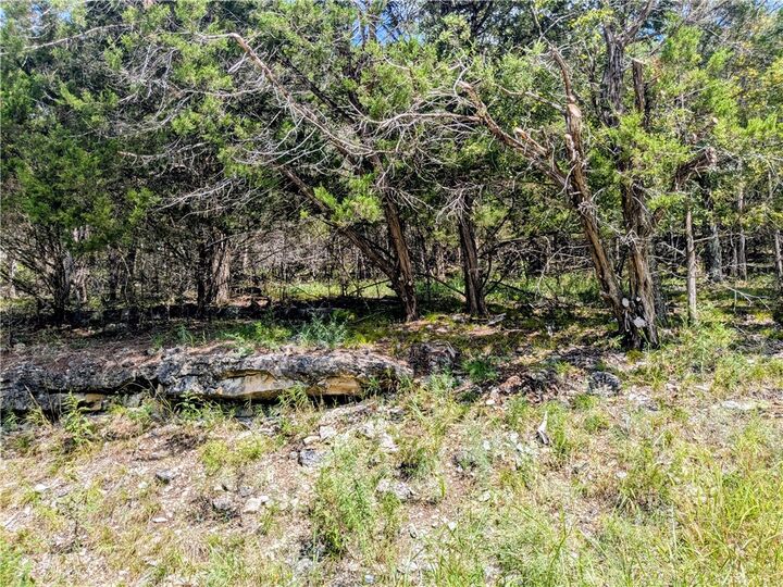 Property Photo:  108 Appaloosa Drive  AR 72631 
