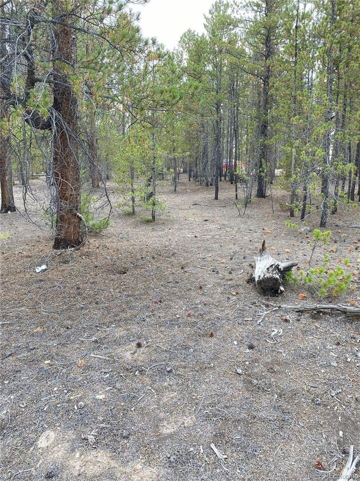 Property Photo: 340 Peak View Drive CO 80461