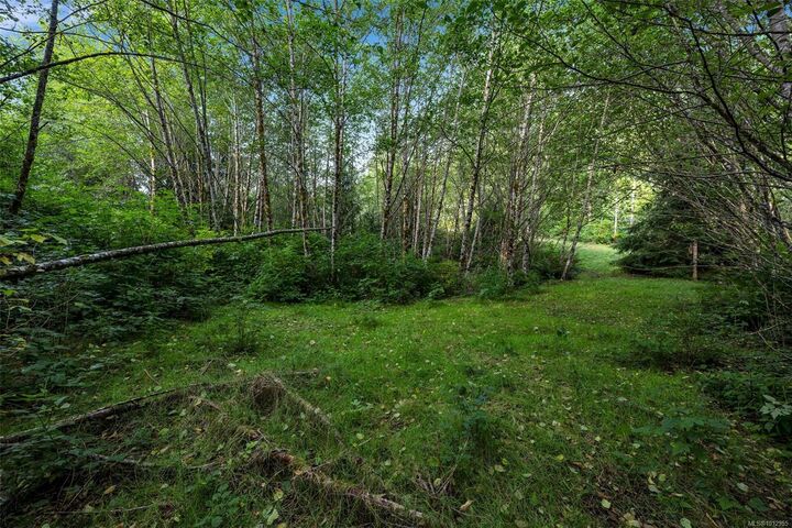 Property Photo: Lot 111 Powder Main Rd BC V0S 1K0