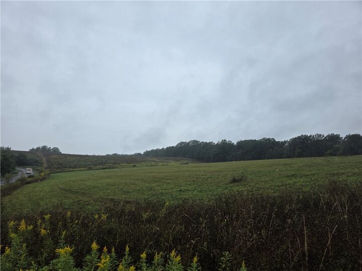 Property Photo:  0 Symonds Road  NY 14801 