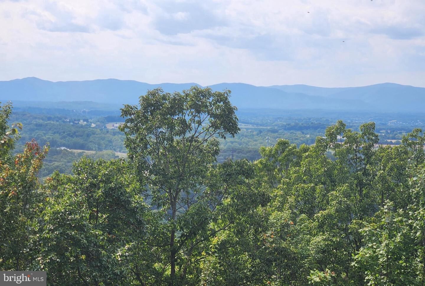 Property Photo: 1195 Applewood Drive VA 22630