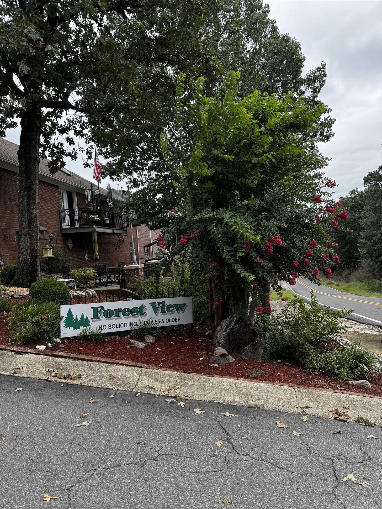 Property Photo:  Lot 28 Forest View Circle  AR 71913 