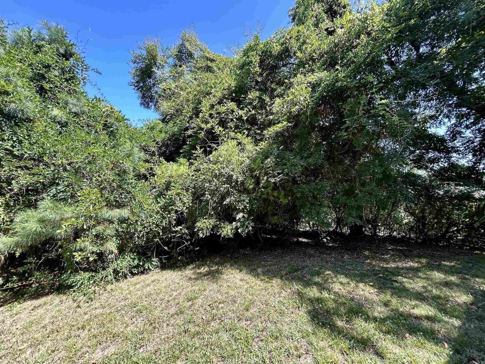 Property Photo:  Lot 12 Wahoo Street  AR 71913 