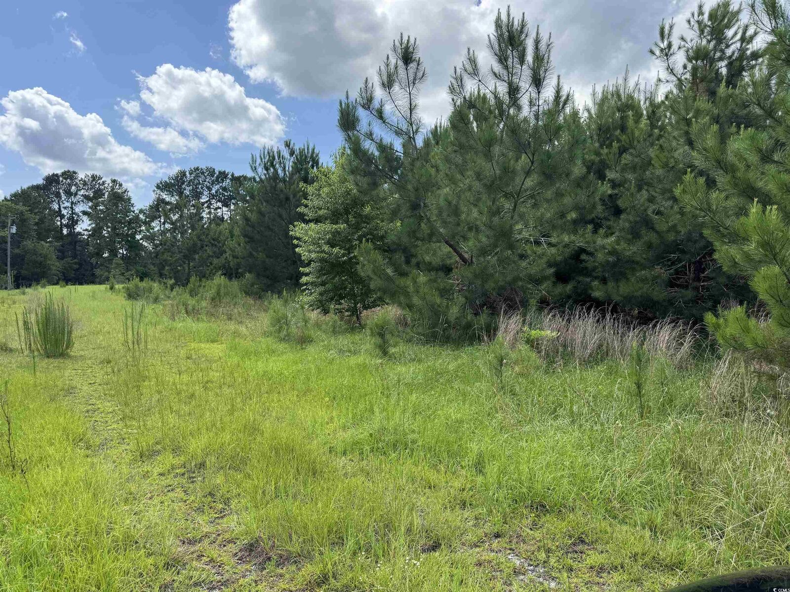 Property Photo:  1212 Nursery Rd.  SC 29569 