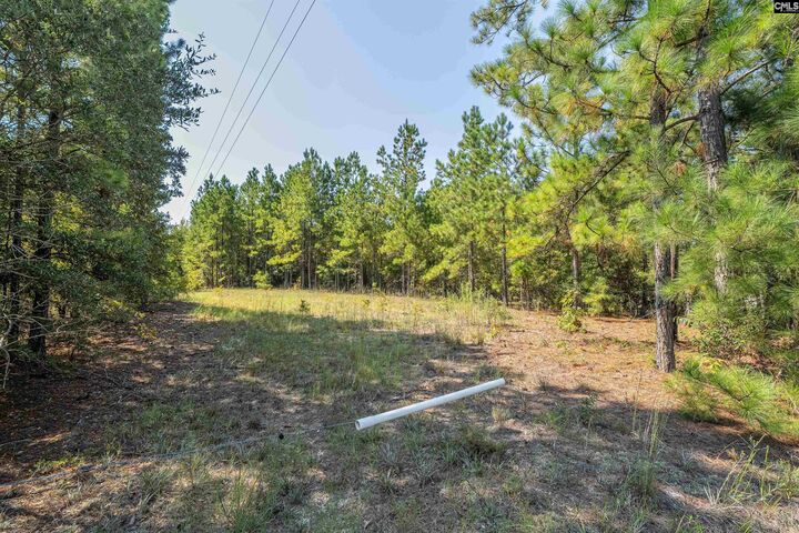 Property Photo:  S S Toms Creek  SC 29061 
