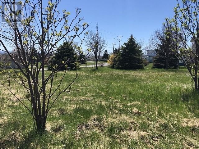 Photo de la propriété:  65 Ohio Drive  NL A2N 2W2 