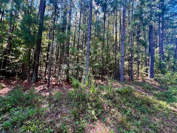 Property Photo: 1150 Denton Road GA 30134