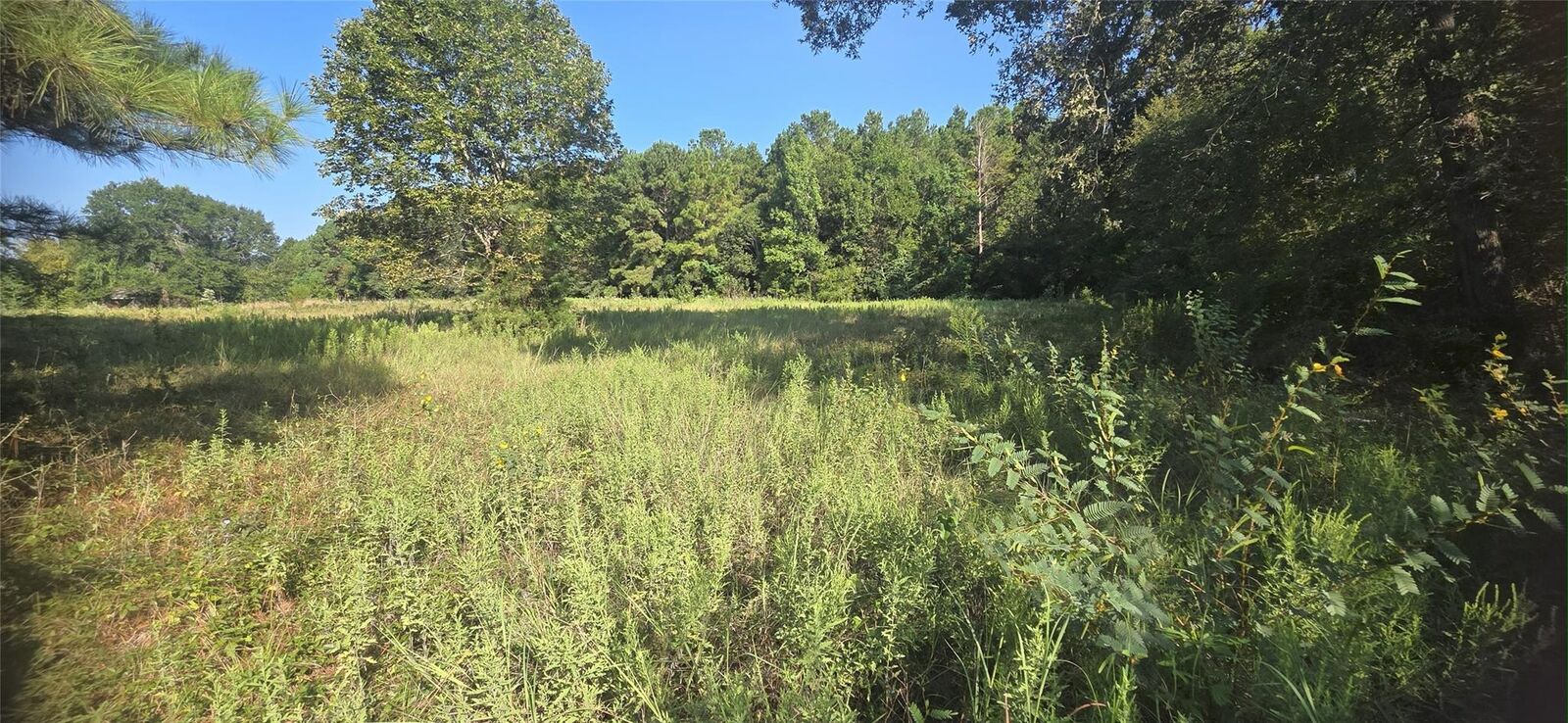 Property Photo: 19 Whispering Pines Road TX 77358