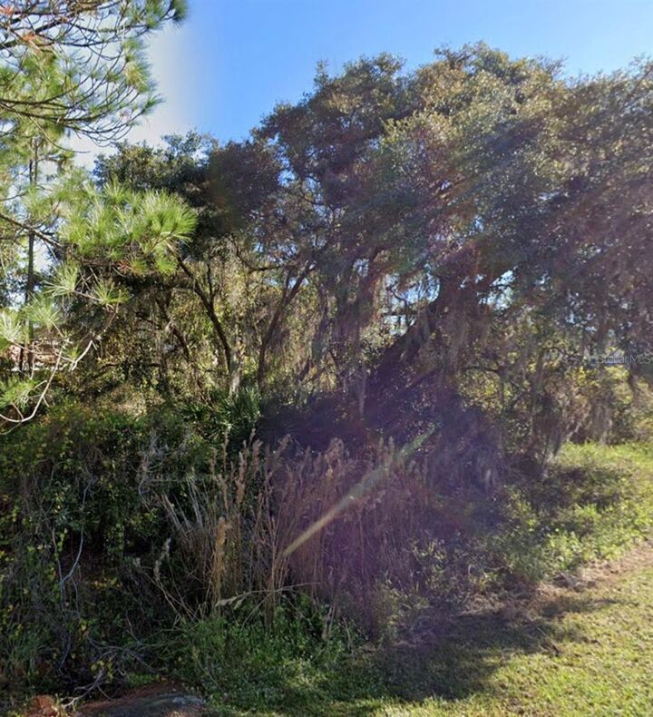 Property Photo:  1225 Wahneta Drive  FL 34759 