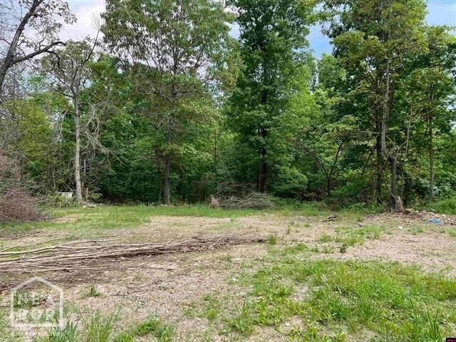 Property Photo: 1190 Robinwood Lane AR 72687