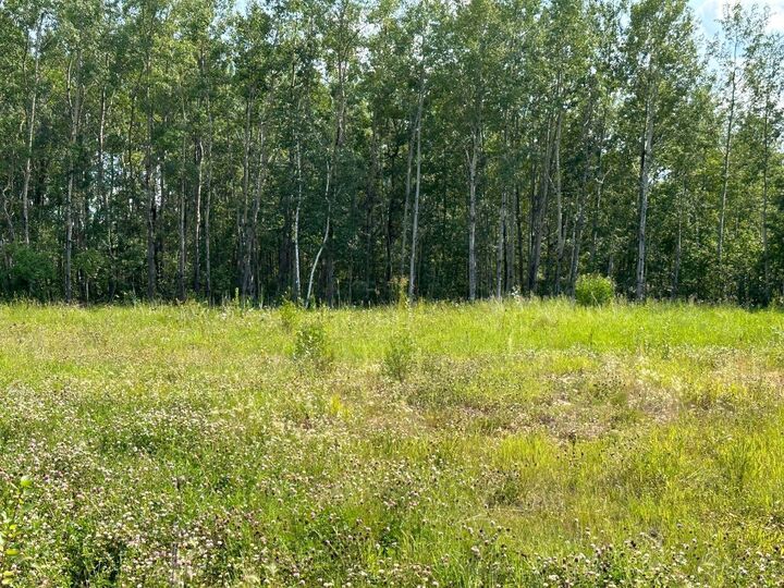 Property Photo: 67417 McGrane Road 123 AB T0A 2C2