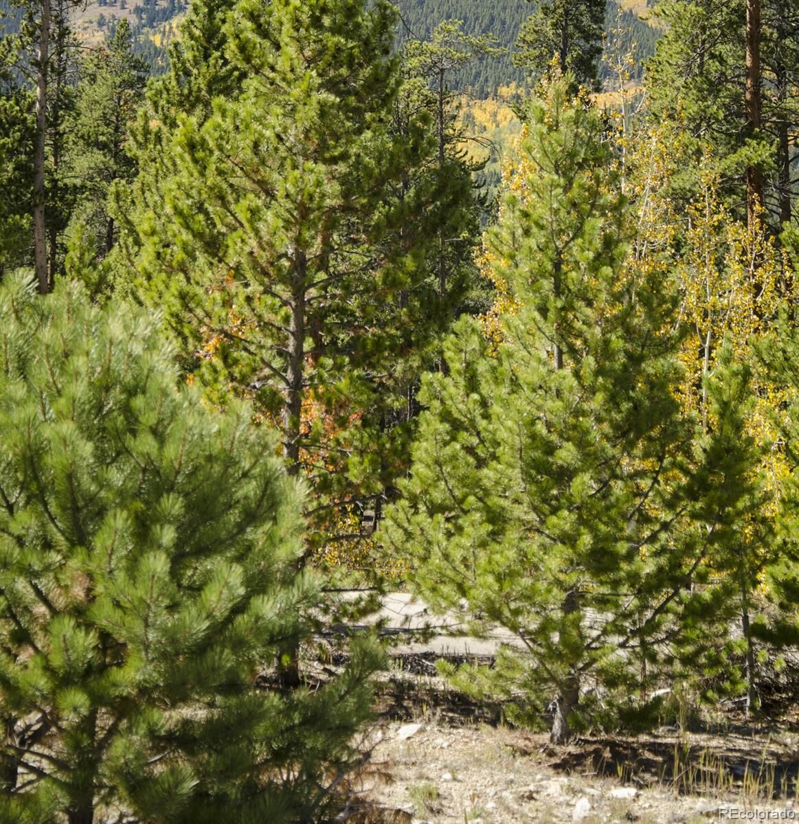 Property Photo: 143 Fir Drive CO 80461