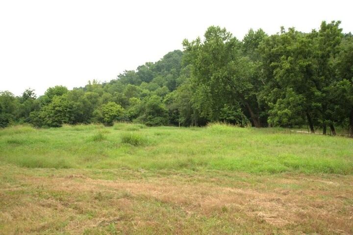 10.75acres Younkers Lane  Noel MO 64854 photo
