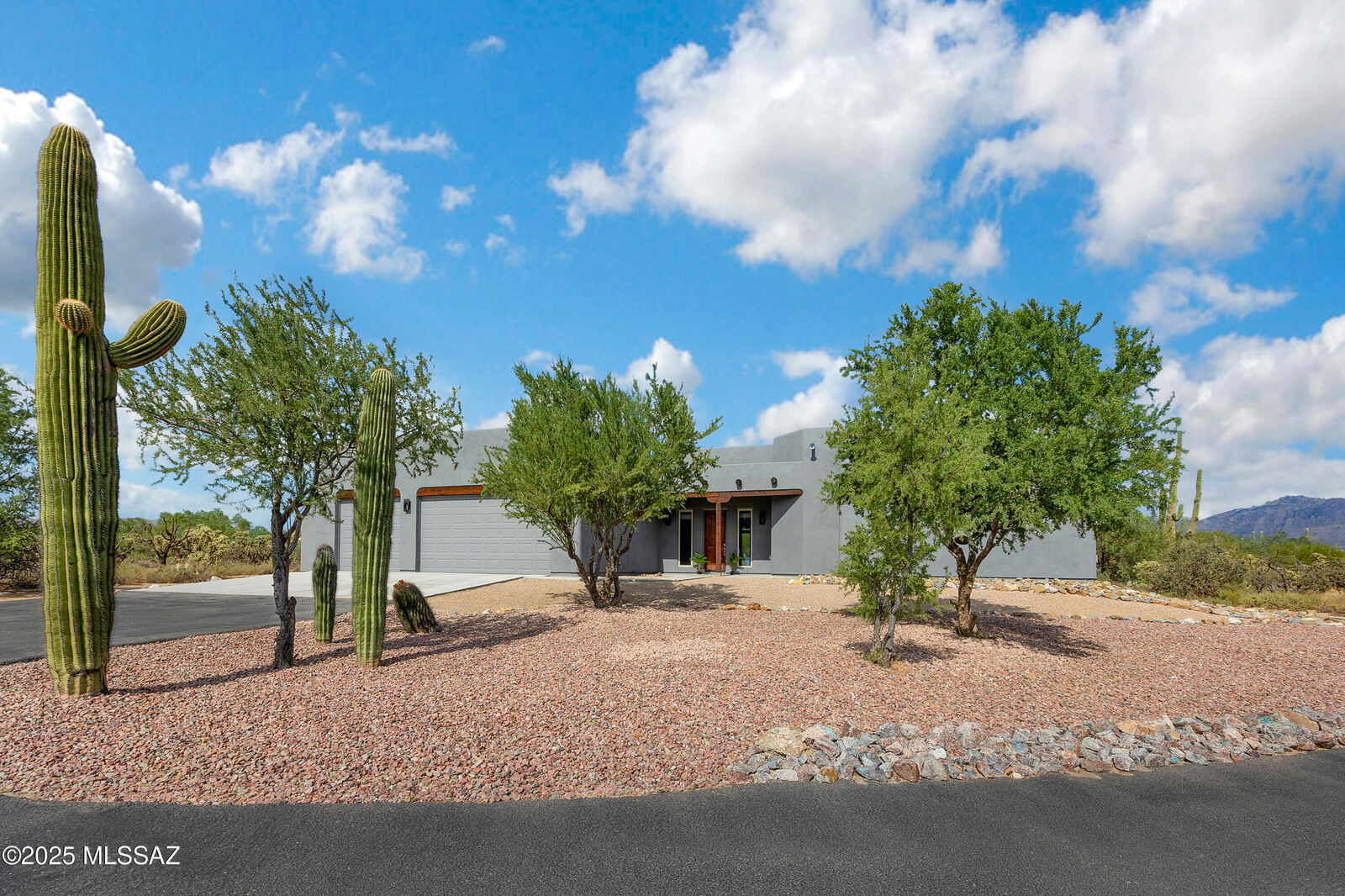 Property Photo:  3050 W Camino Christy  AZ 85742 
