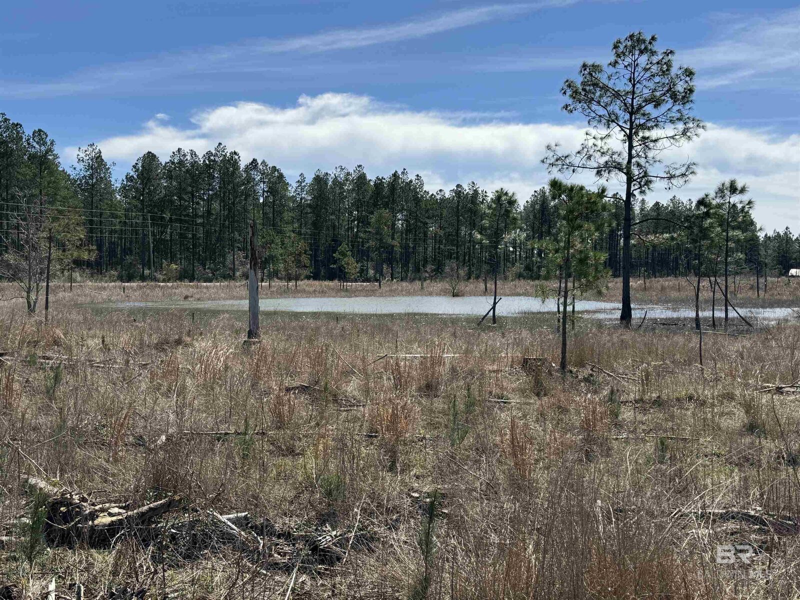 Property Photo:  8 County Road 64  AL 36567 