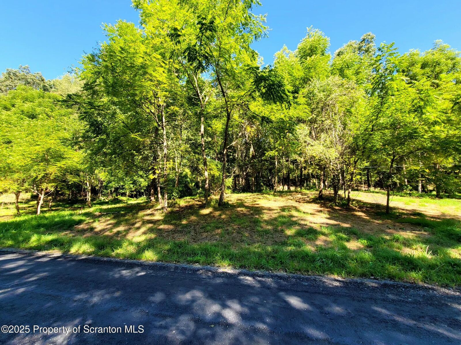 Property Photo:  587 Evergreen Drive  PA 18615 