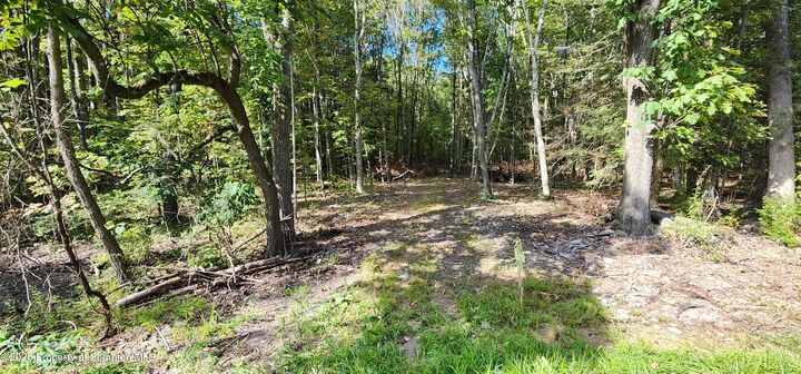 Property Photo: 645 Evergreen Drive PA 18615