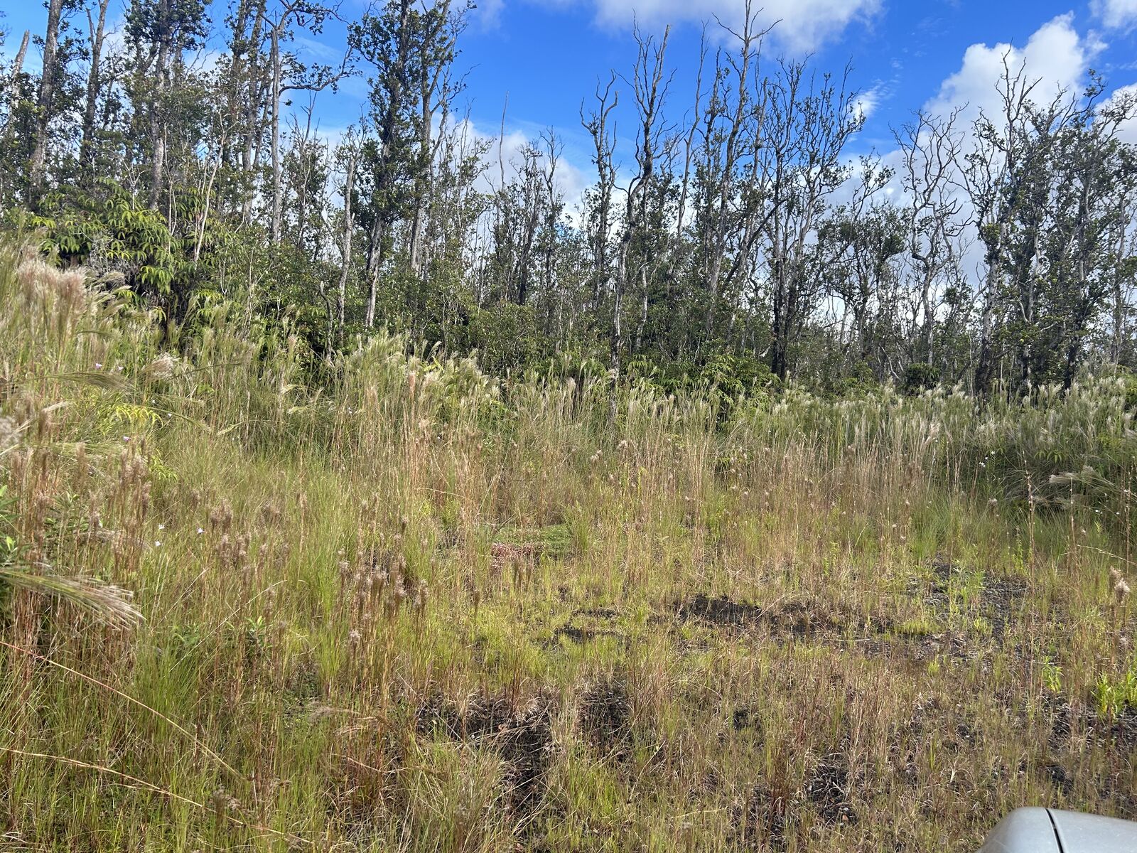 Property Photo:  Ohialani Rd  HI 96785 
