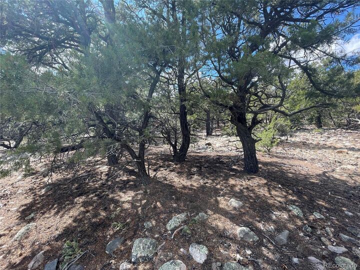 Property Photo:  2723 Happy Hollow Way  CO 81131 