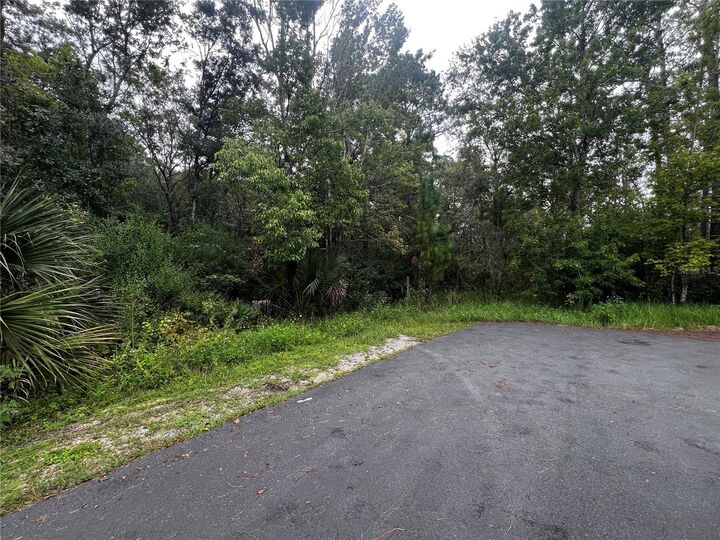Sioux Trail  Kissimmee FL 34747 photo