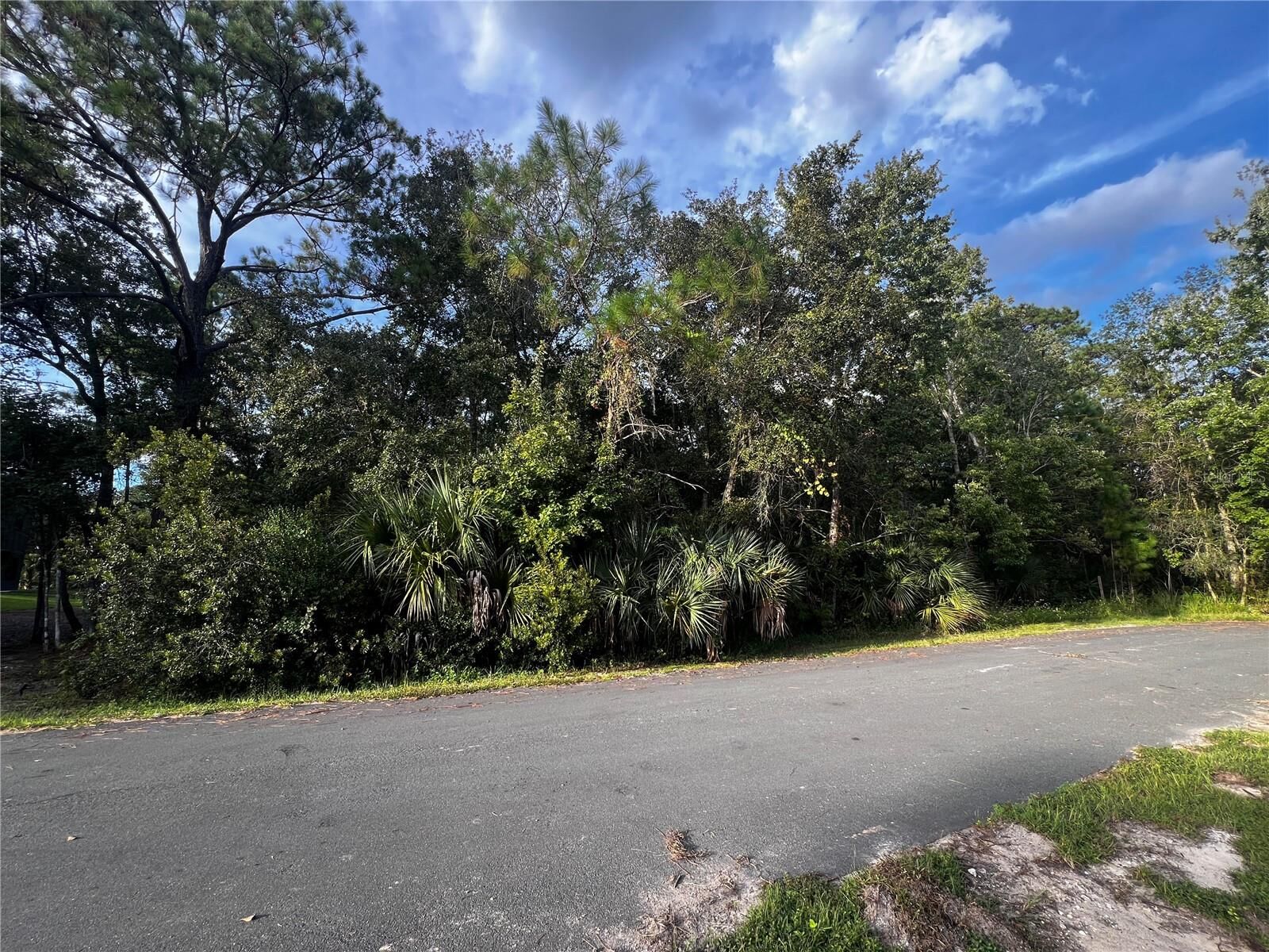 Property Photo:  Sioux Trail  FL 34747 