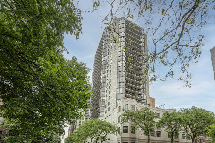 Property Photo:  33 W Delaware Place 19H  IL 60610 