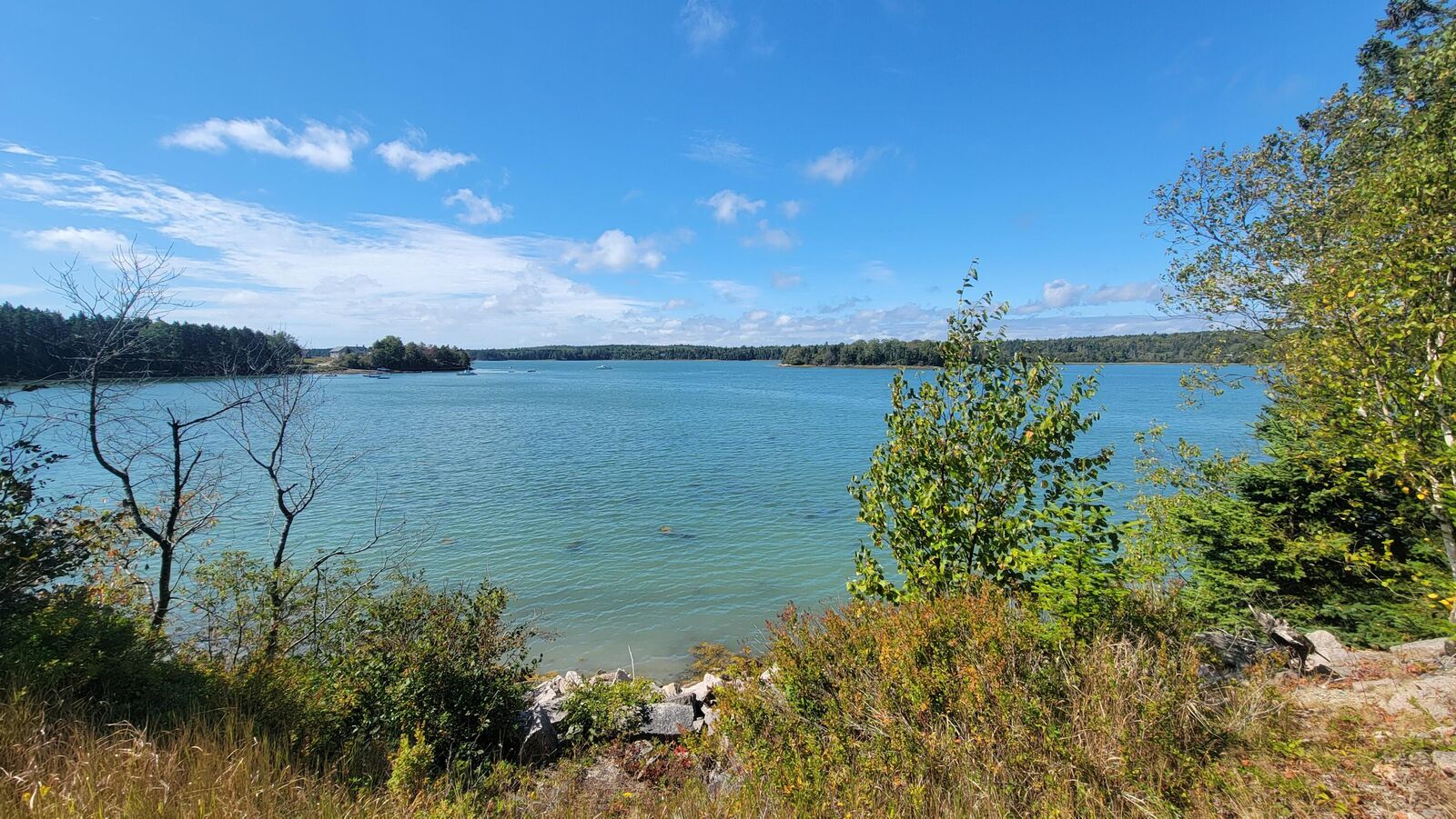 Property Photo:  Lot 1 & 5 Evergreen Point Road  ME 04648 