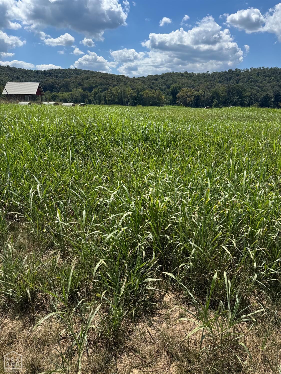 Property Photo: 50 White River Run AR 72540
