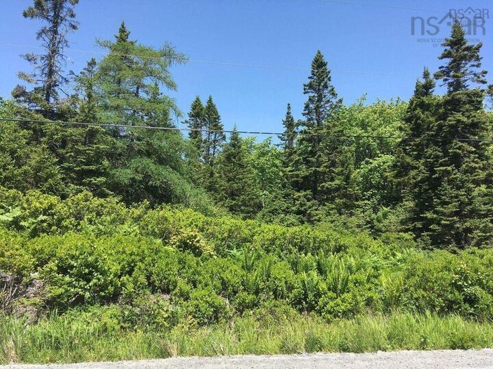 Property Photo:  Nil Nil Red Head Road  NS B0T 1W0 
