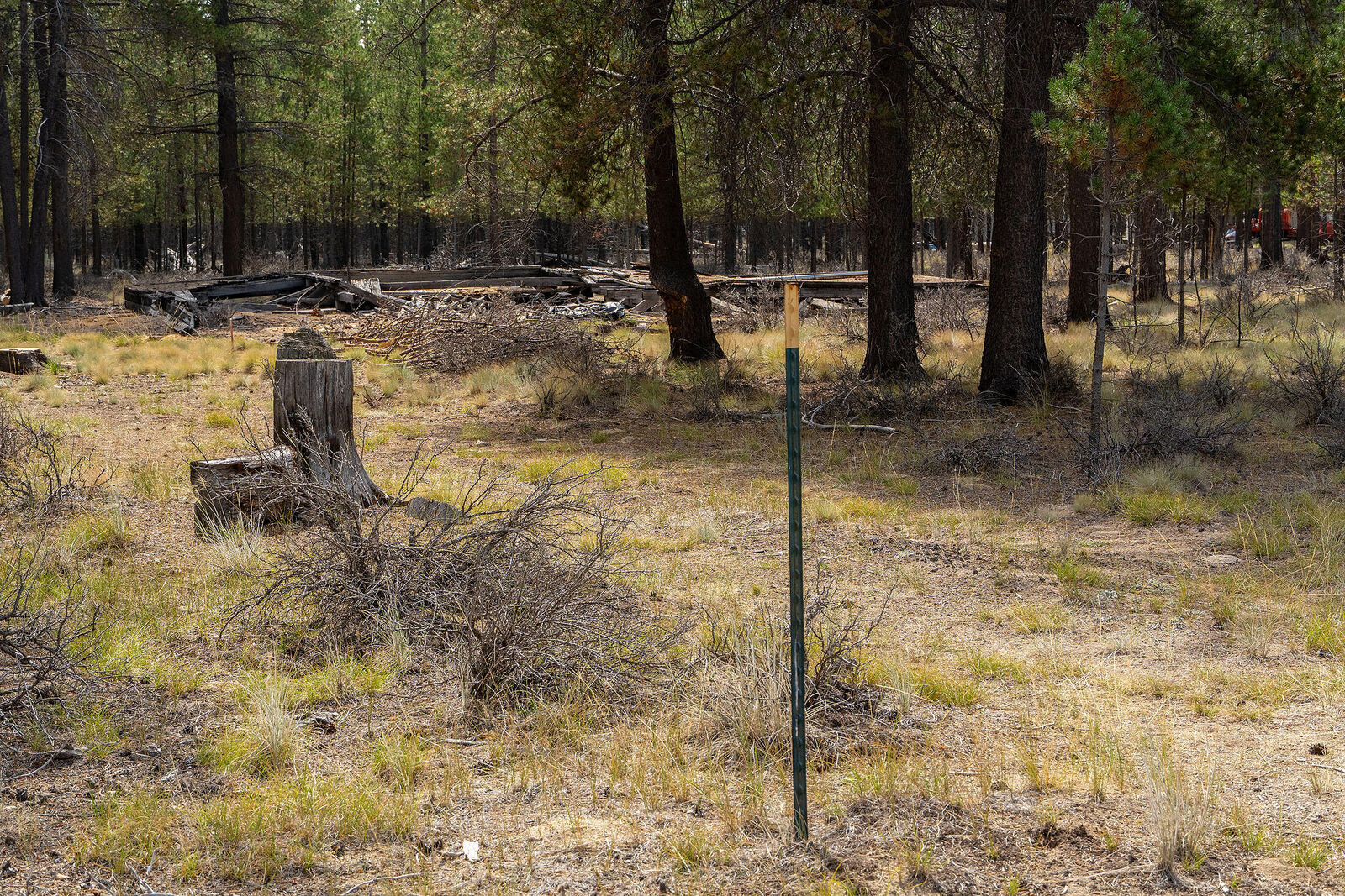 Property Photo: Tl 699 Alderwood OR 97739