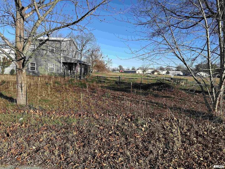 Property Photo: 0 W Walnut Street IL 62948