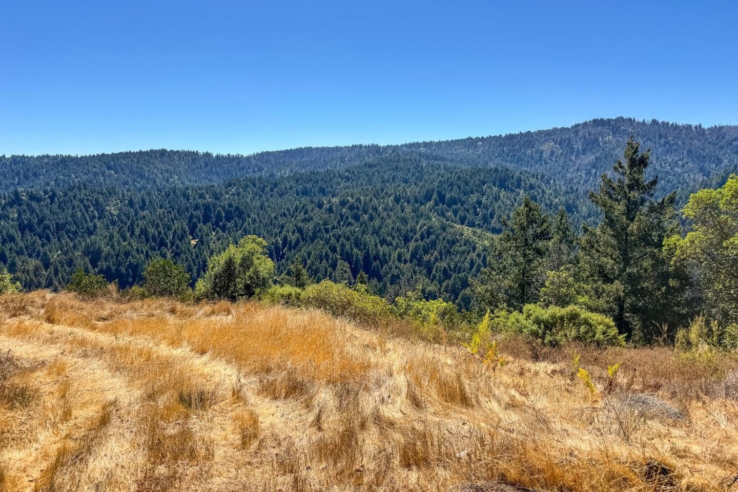 Property Photo:  1200 Roberts Road  CA 95005 