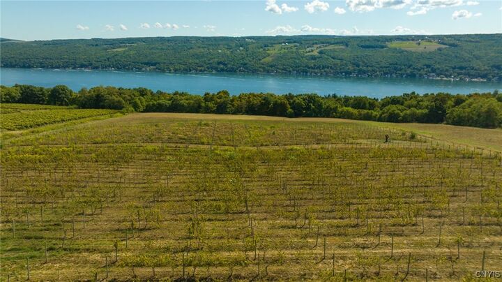 Property Photo:  9008 (Lot B) County Route 76  NY 14840 