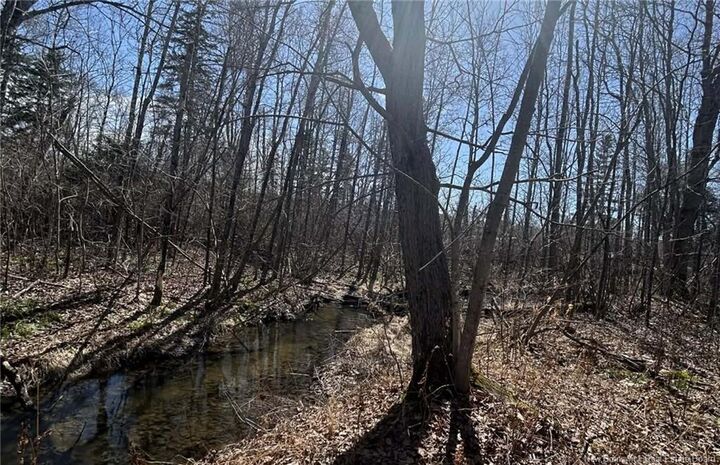Lot Dr Hamilton Drive — photo 1