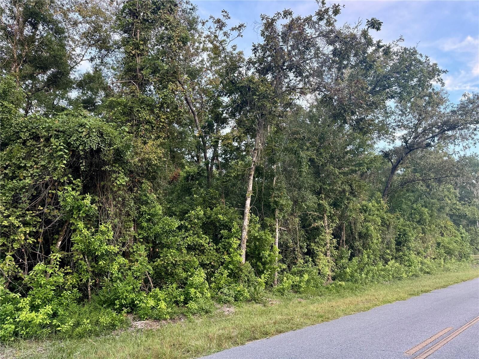 Property Photo:  SW Newark Dr  FL 32038 