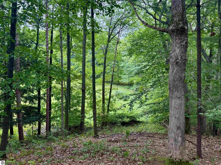 Property Photo:  35 Brook Hill Cottages  MI 49636