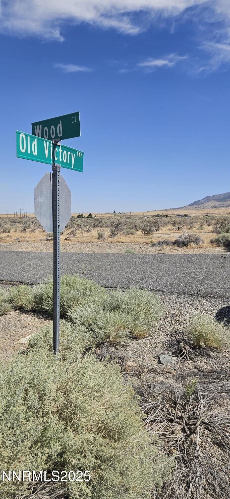 Property Photo:  22505 Woods Lane  NV 89419 