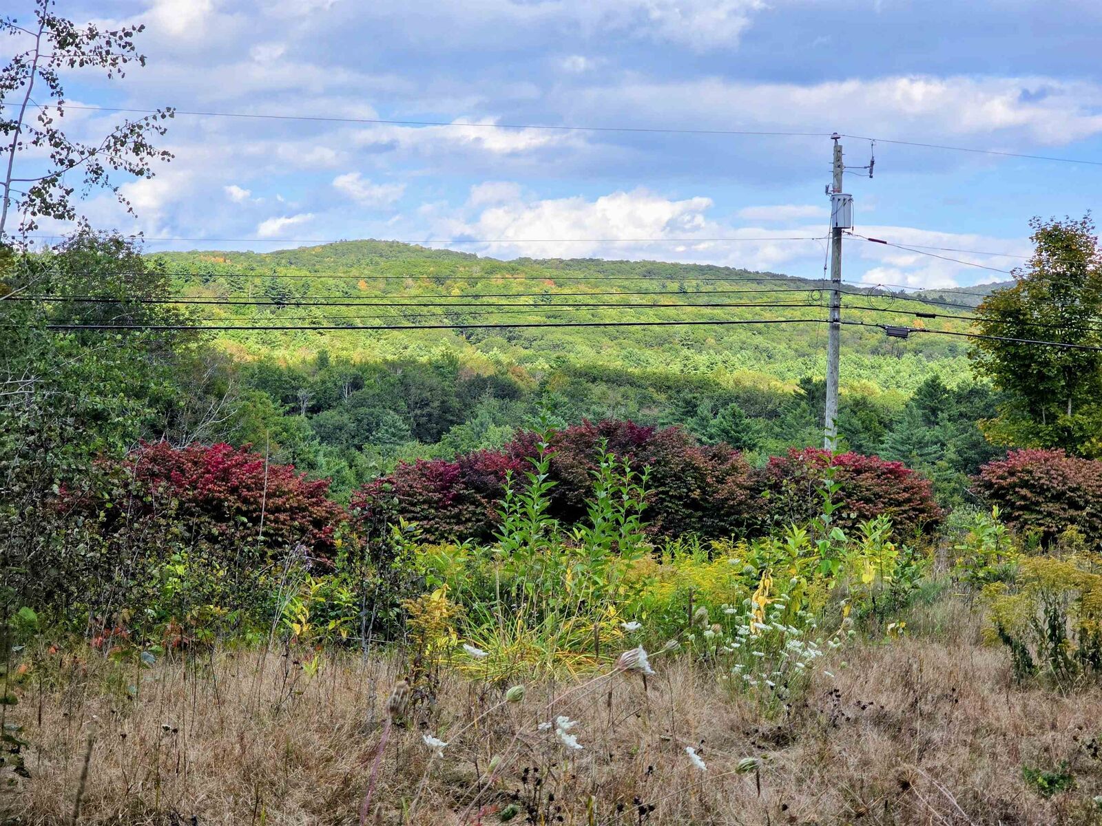 Property Photo: 45 Henderson Road NH 03457