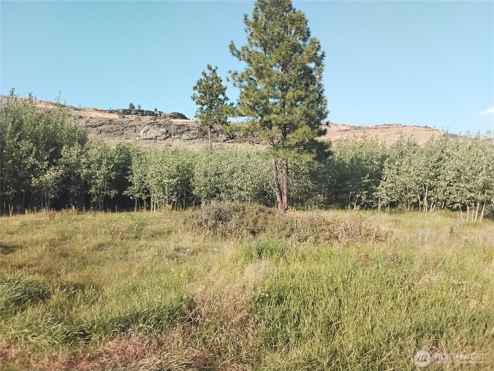 Property Photo: 4 Painted Rock Road WA 98855