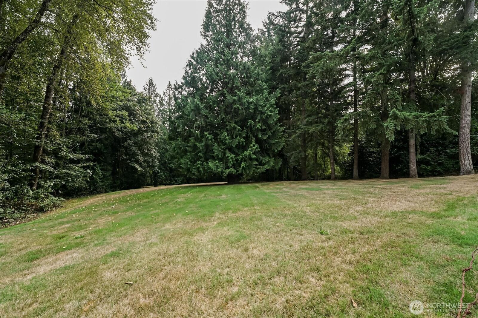 Property Photo:  186 Xx SE 216th Street  WA 98058 