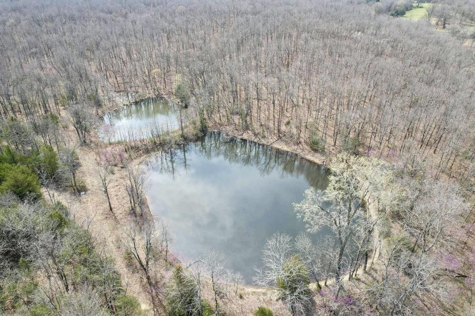 Property Photo:  000 County Road 2115  MO 65712 