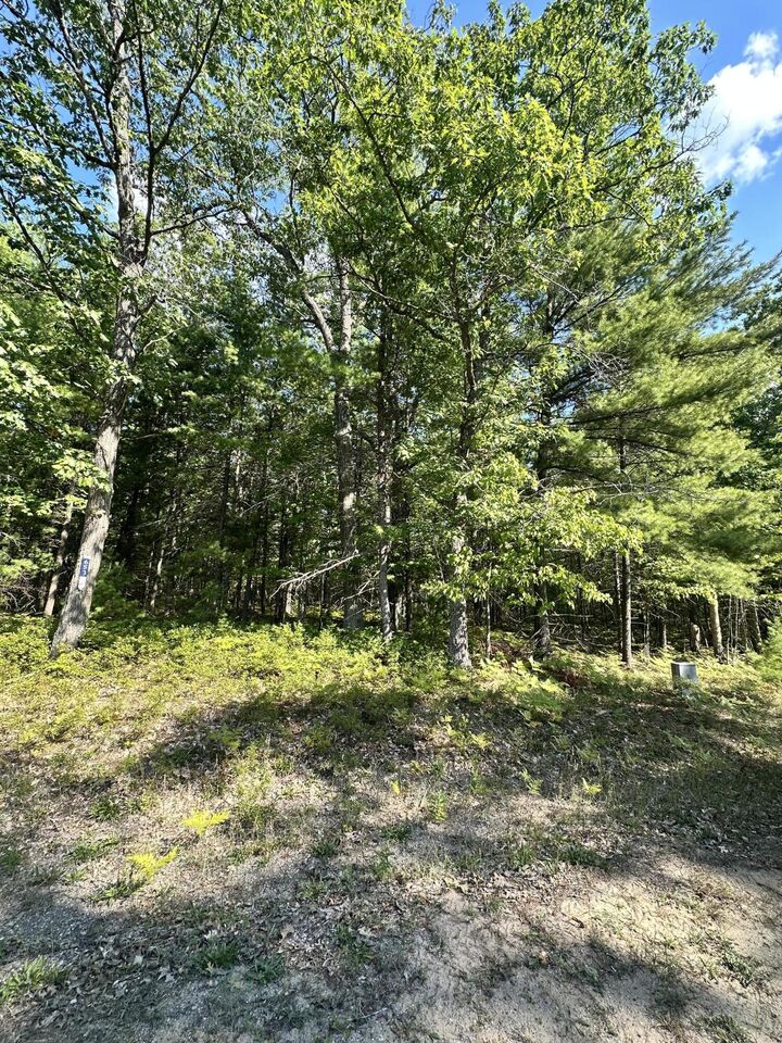 Property Photo: V/L 0.77ac Fantasy Drive MI 49733